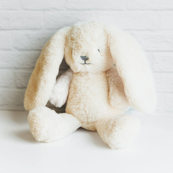Weighted Baby Toy