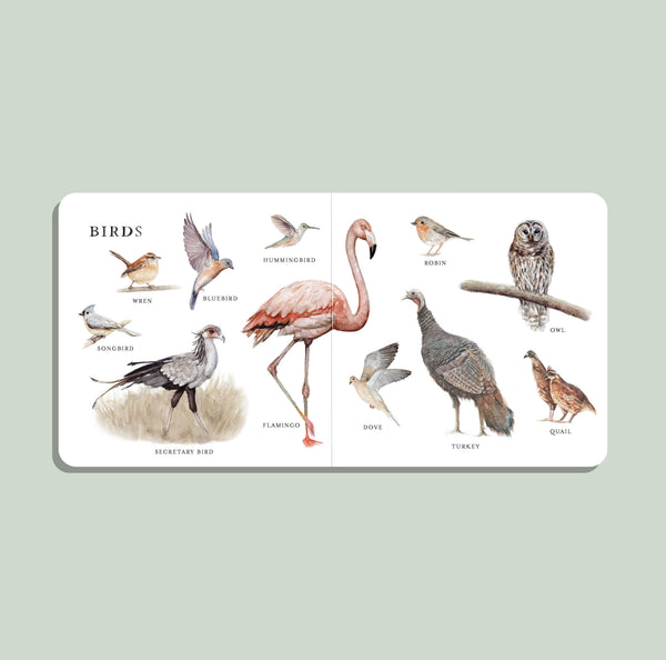 Our Big Book of Animals (Baby Board Book)
