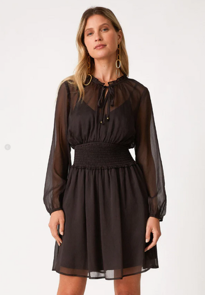 Kira Sheer Mini Dress