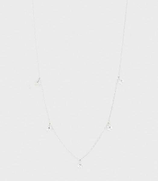 Choker - 5 Disc